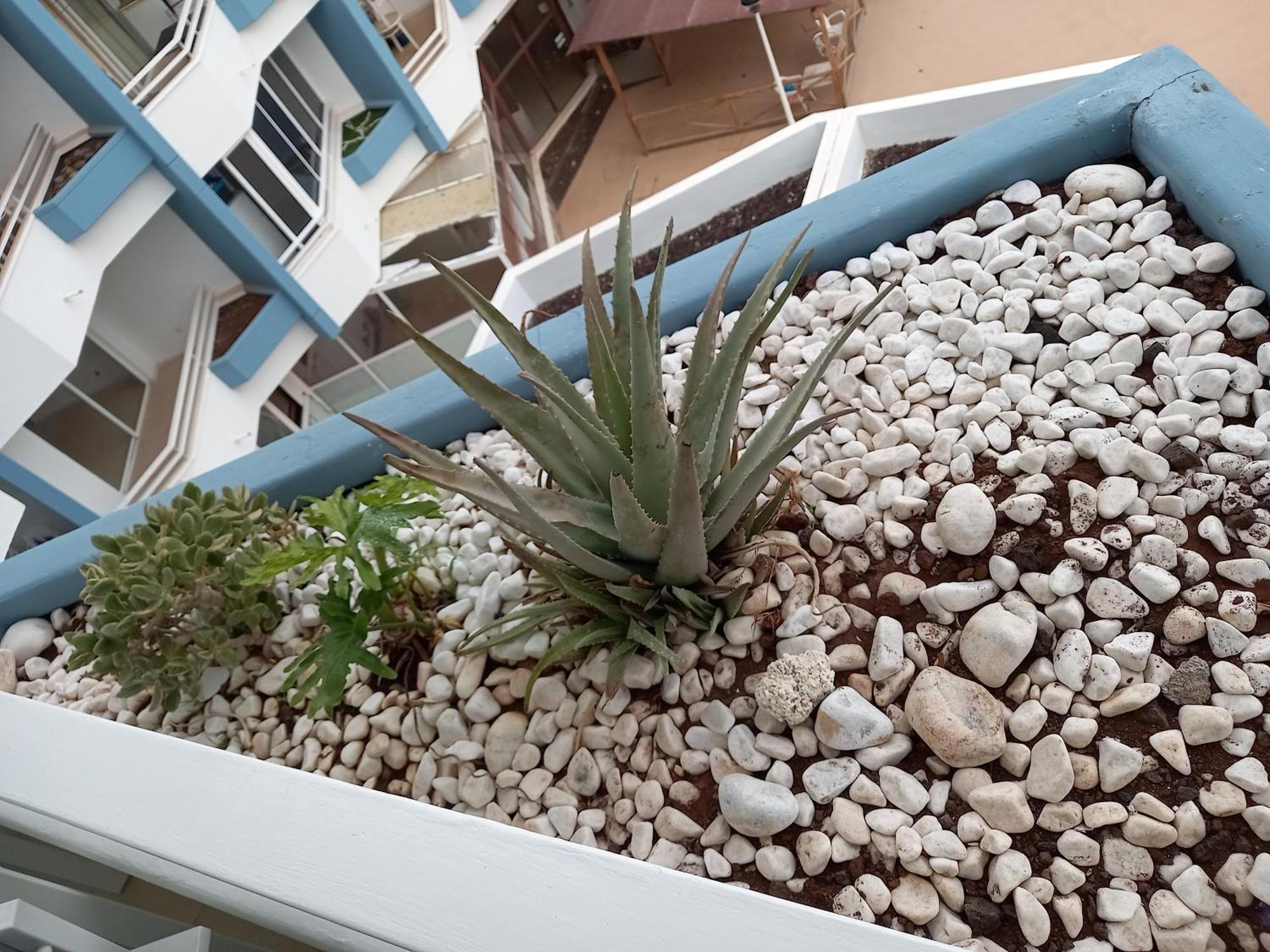Cousy Holiday Apartment In Sunny Golf Del Sur San Miguel de Abona Dış mekan fotoğraf